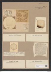 Stictodiscus sp. (de-Toni-Nr.: Genus 205) Zeichnungen Sammlung Grunow Nr. 9079 (NHMW-BOT-W0378832)